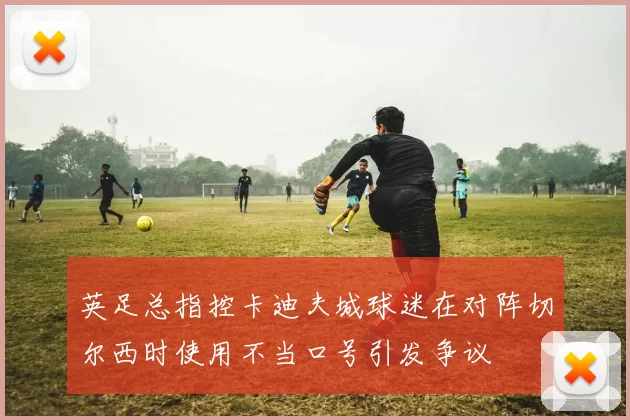 英足总指控卡迪夫城球迷在对阵切尔西时使用不当口号引发争议